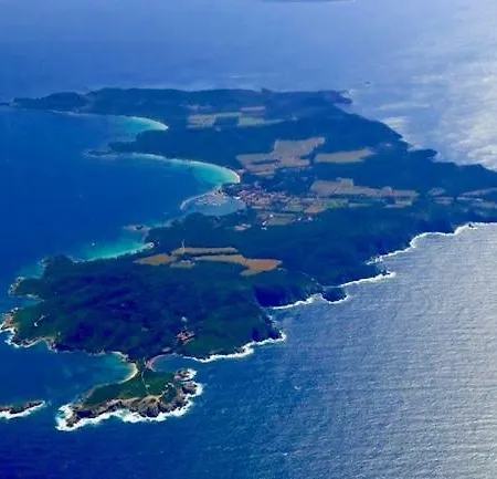 Palm Island *